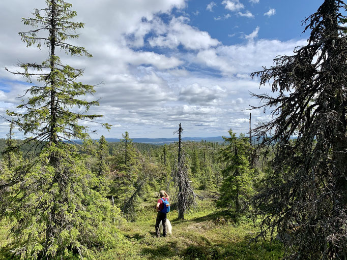 Wanderung mit Hiltrud und Volker