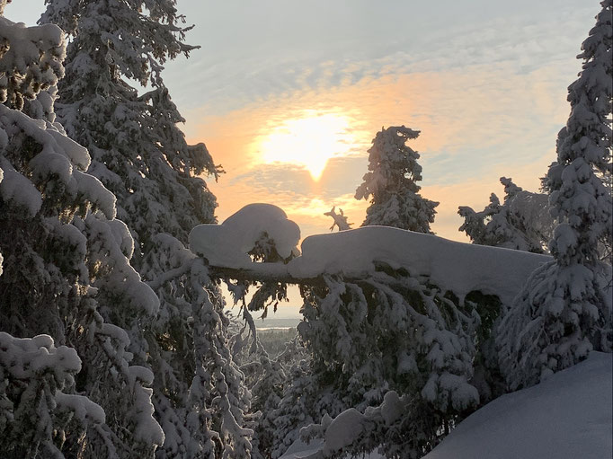 Schneeschuhwanderung 
