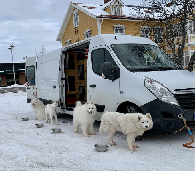 Pinkelpause in Arvidsjaur 