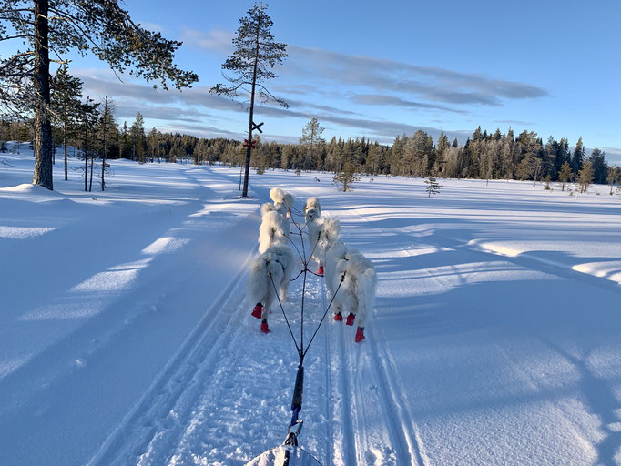 am Skoterled