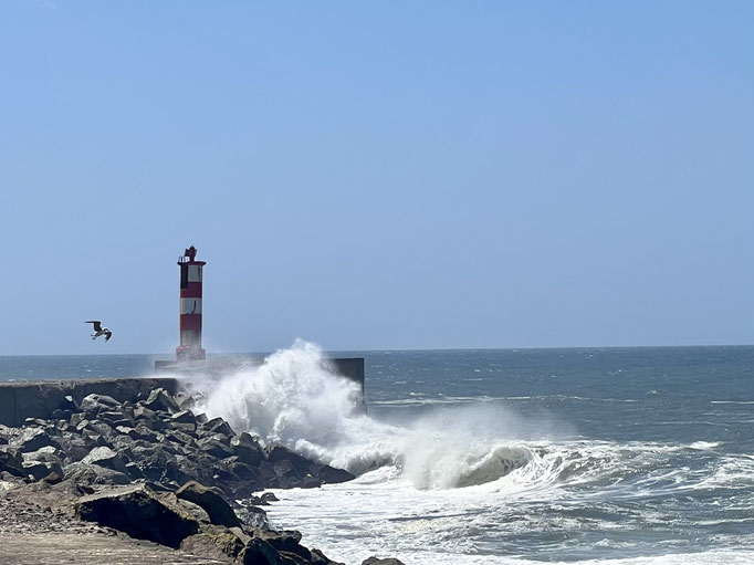 zurück am Atlantik, ganz bin ich auf den Pier nicht hinaus gegangen