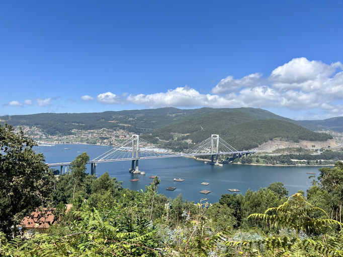 Puente de Rande (Brücke de Rande)