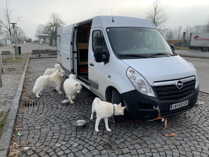 erster Zwischenstopp in Deutschland Bayerischer Wald