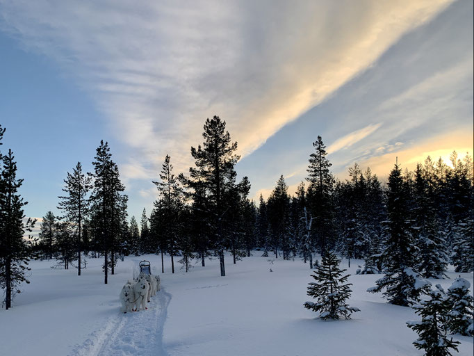 am Trail