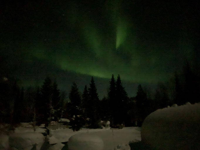 Nordlicht
