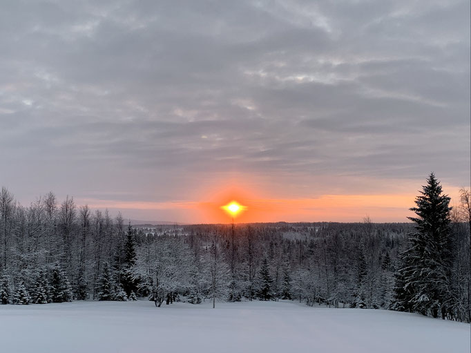 Morgenstimmung 