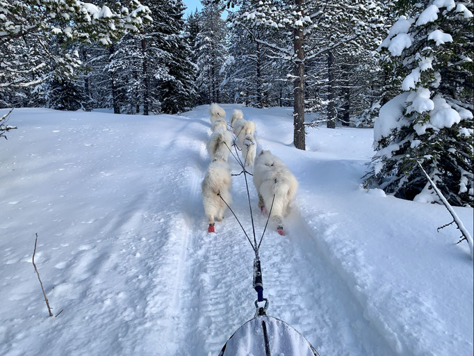 am Trail