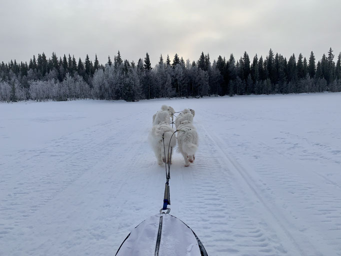  am Skoterled (Bockträsk)