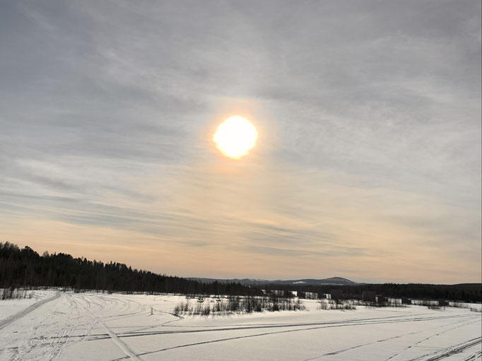 Lule älv