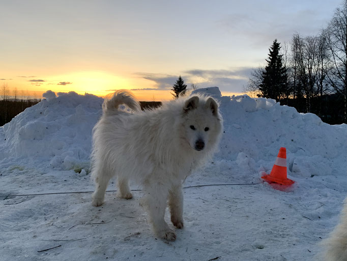 Yukon