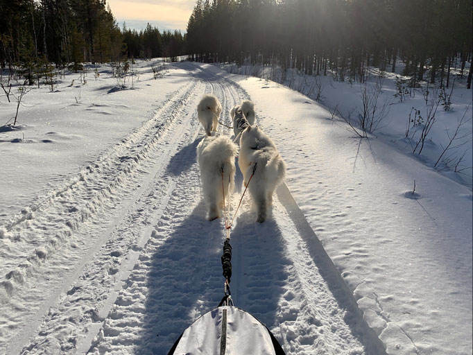 am Trail