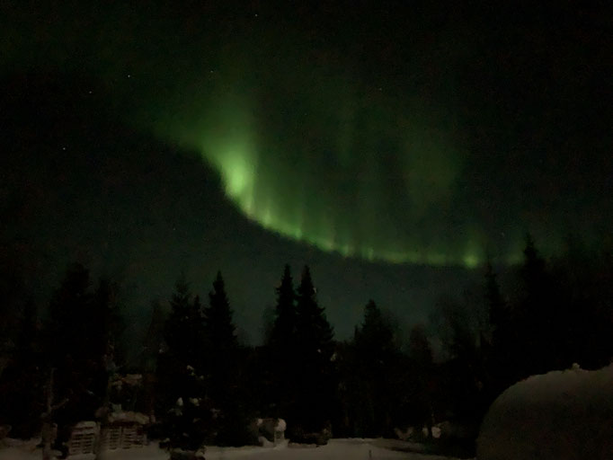 Nordlicht
