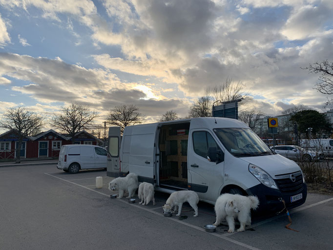 Ankunft in Nynäshamn 