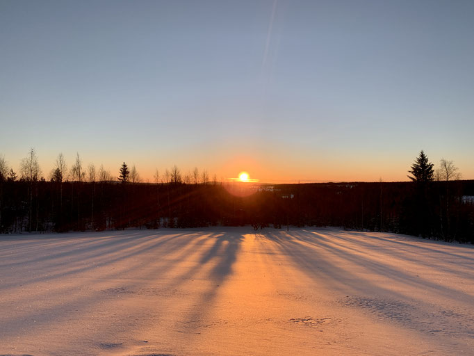 Morgenstimmung