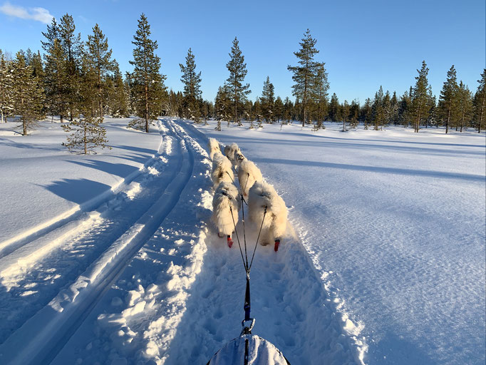 am Trail 