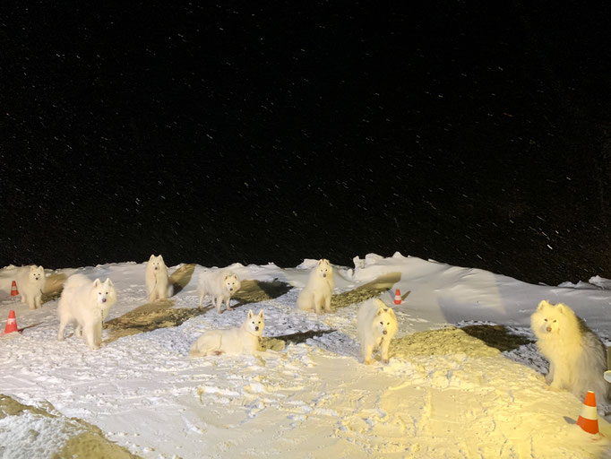 der Schneefall und der Sturm lassen nach