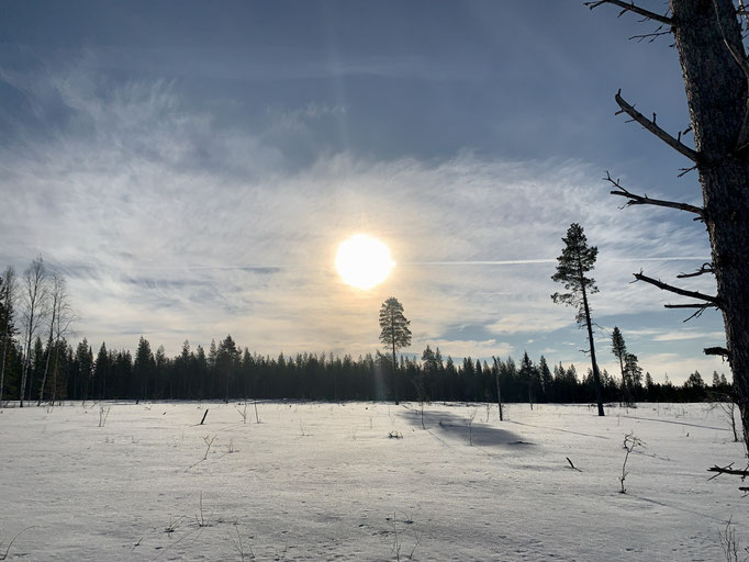 am Trail
