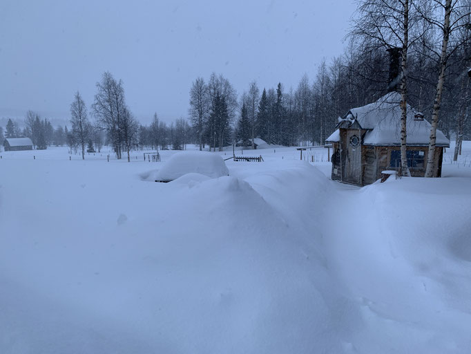  Schnee, Schnee, Schnee des is sche