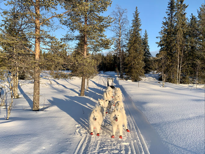 am Skoterled