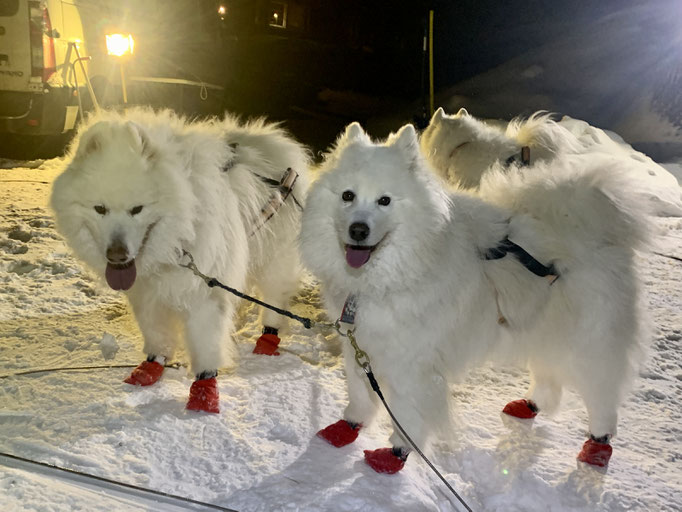 Yukon und Vicky