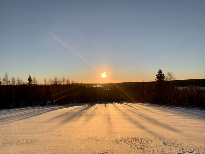 Morgenstimmung