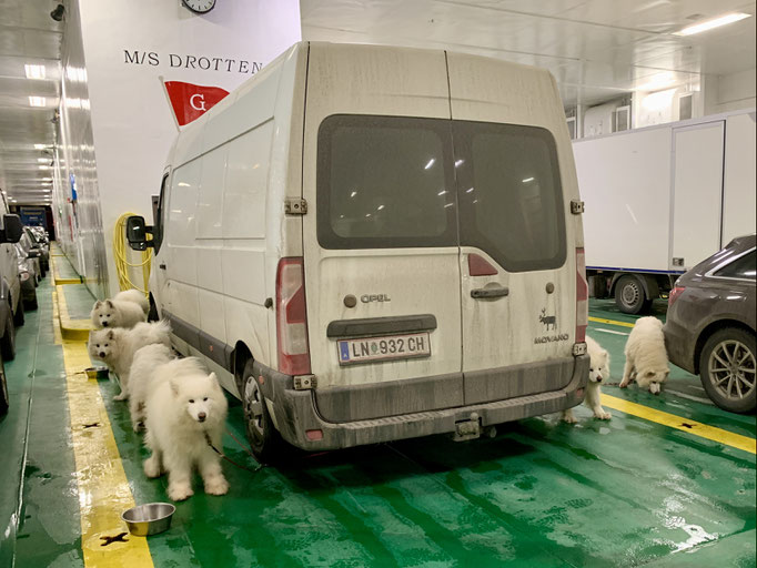 die Teddybären auf der Fähre