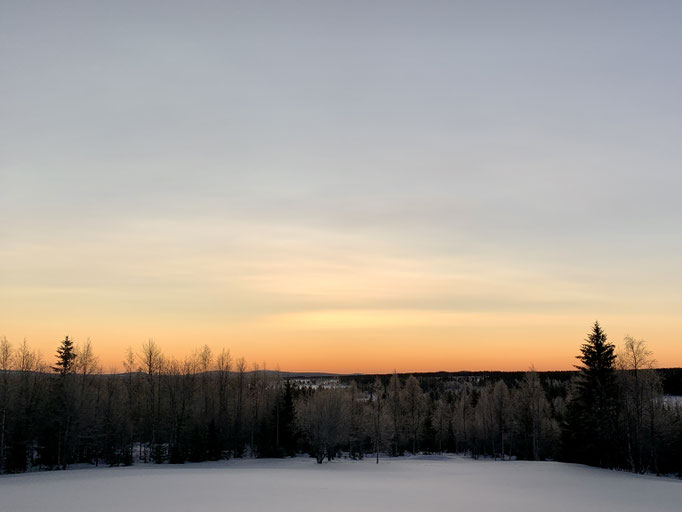 Morgenstimmung 