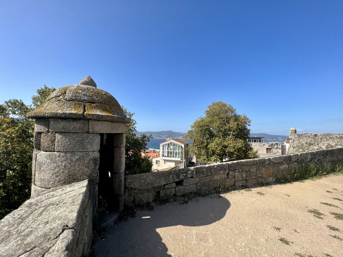 Castelo do Castro (Schloss von Castro)