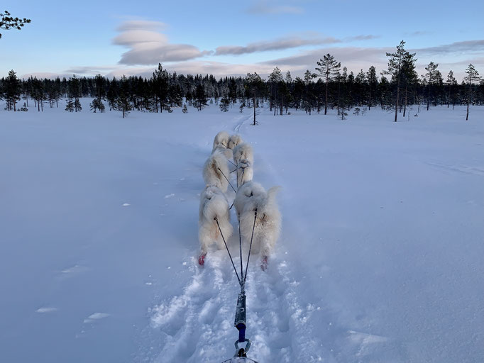 am Trail
