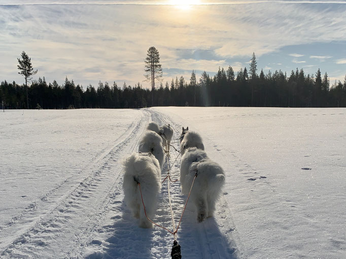 am Trail