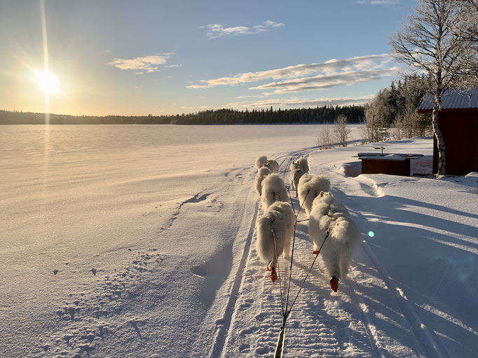 am Skoterled