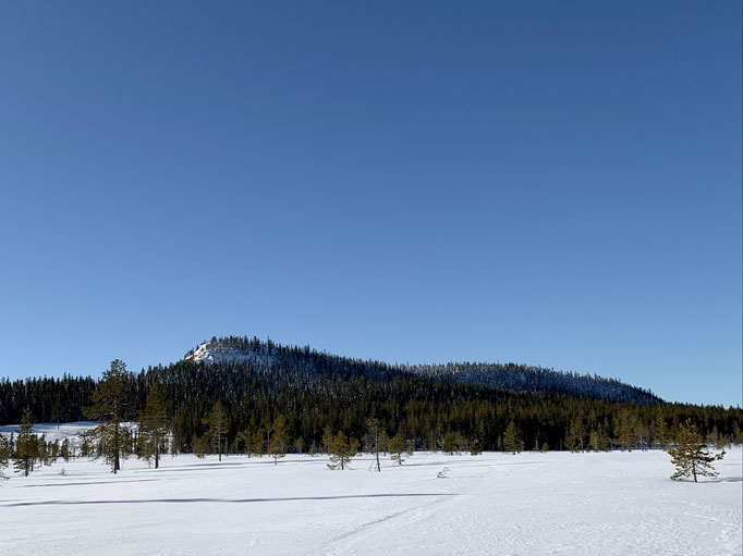 der Malåberget von unten