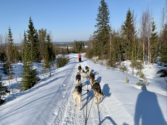 am Trail 