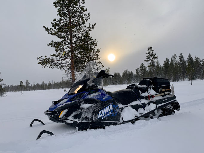 am Trail