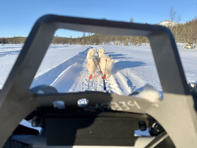 am Trail