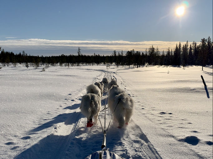 am Trail