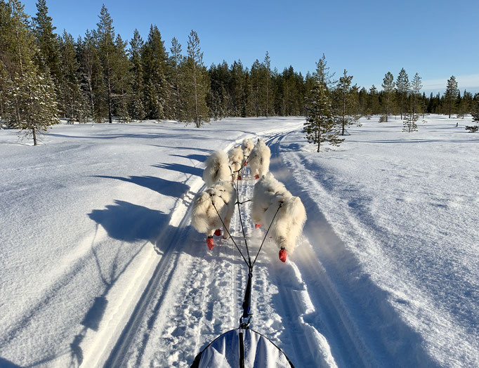 am Trail