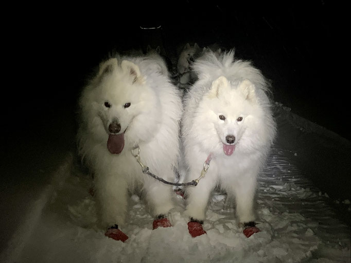 am Yukon und Vicky