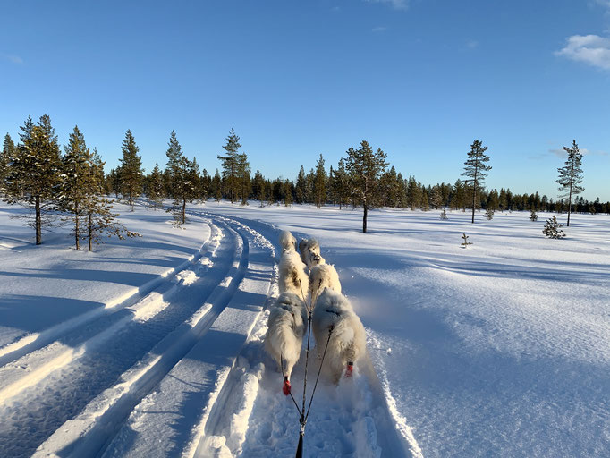 am Trail 