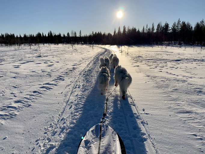 am Trail 
