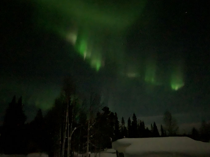 Nordlicht