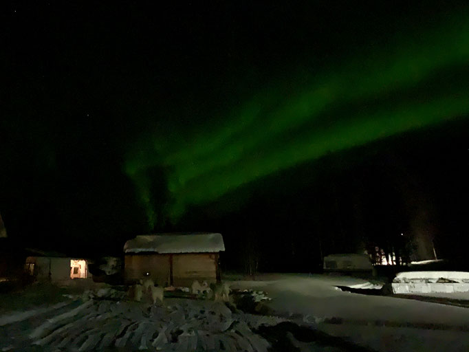 Nordlicht 