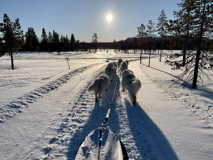 am Trail 