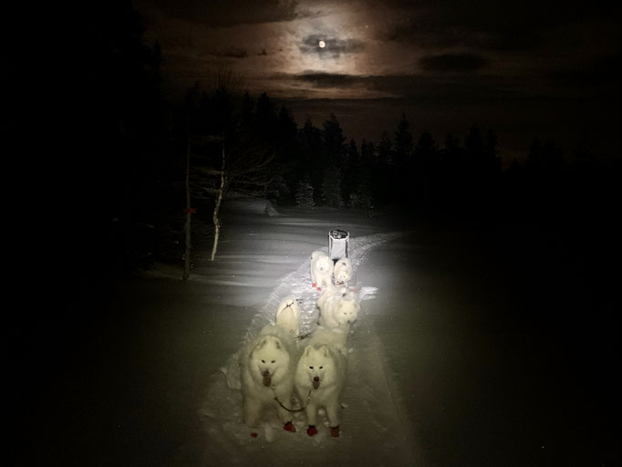 Nachtfahrt im Mondlicht 