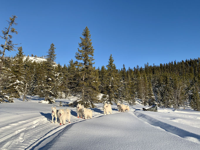 am Ziel, im Hintergrund der Kvickmyrberget