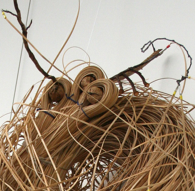 Detail 3 Gehirnzellen
