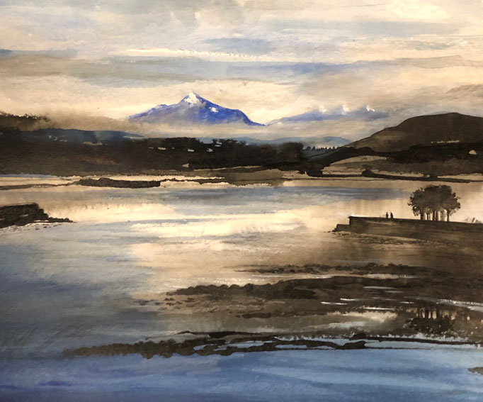 Léman, encre+gouache blanche 2020