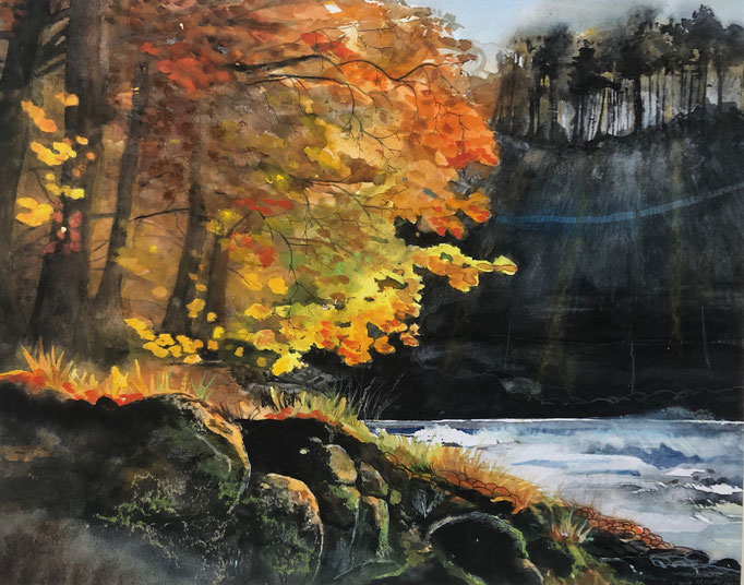 Hêtres, bord de l'Arve, aquarelle+pastel 2022