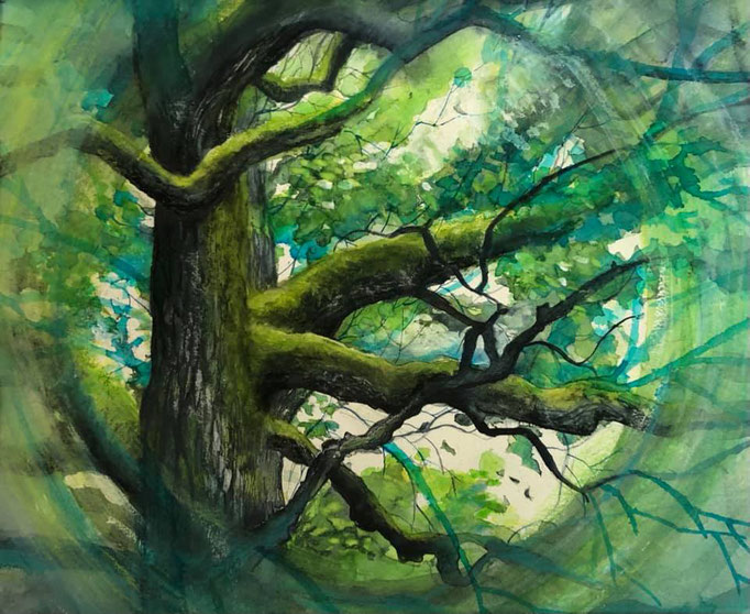 Le chêne guérisseur, aquarelle+pastel 2021