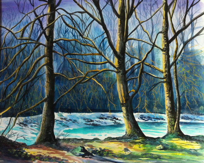 Hêtres au Bord de l'Arve, aquarelle 2010